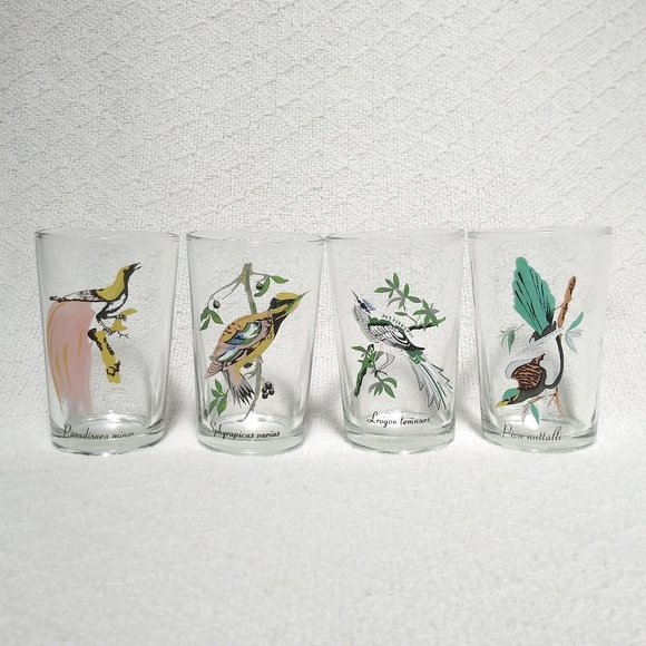 Other - Vintage Tropical Exotic Bird Drinking Glass Set